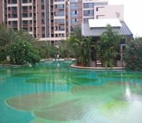 廣州華盛大學(xué)小筑泳池工程 廣州華盛大學(xué)小筑泳池工程